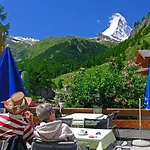 Alpenrose